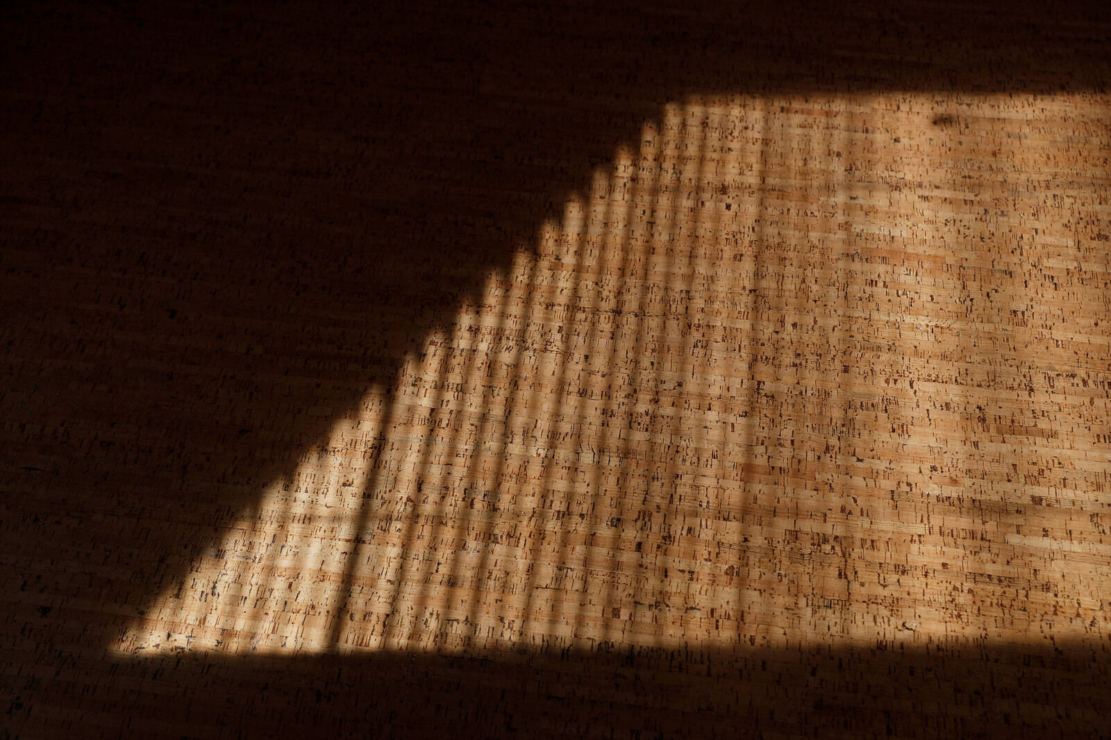 Cork floor